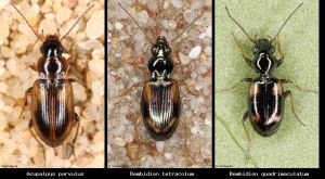 Vergleichsansicht 53db05f7b7