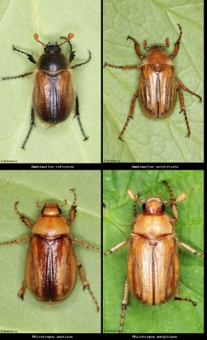 Photo comparison 8ce4020cd2