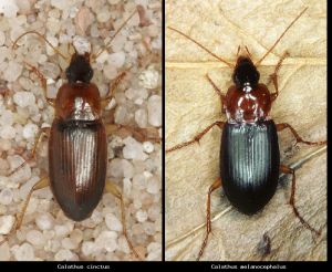 Photo comparison ab7cb2c335