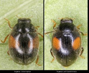 Photo comparison b8c3765d66