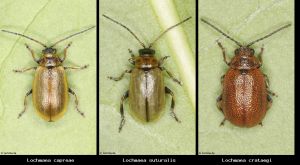 Photo comparison d2a6edf3b0