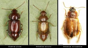 Photo comparison d766ae6ccc