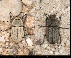 Photo comparison ec2a6cd1cb