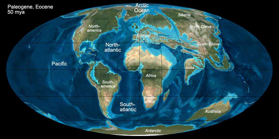 The world during the Paleogene (Eocene)