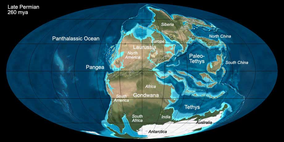 The World during the Upper Permian