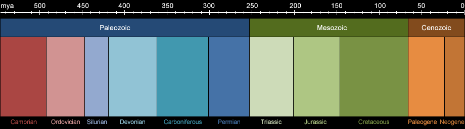 Geological eras from Paleozoic to today